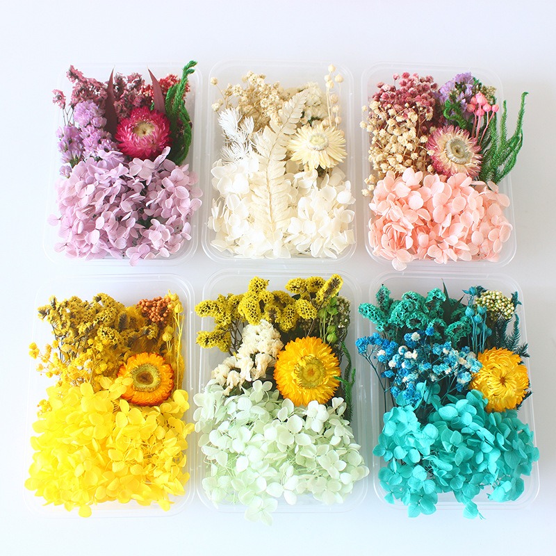 Preserved Flower DIY Kit Seaso - Flower Preservation Resin ulasan dan harga