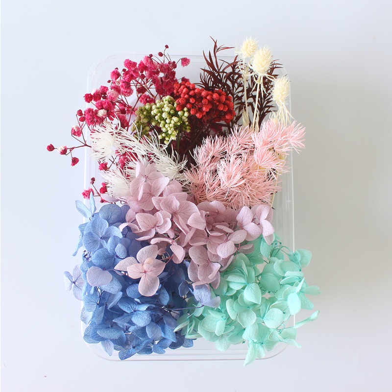 Preserved Flower DIY Kit Seaso - Flower Preservation Resin ulasan dan harga