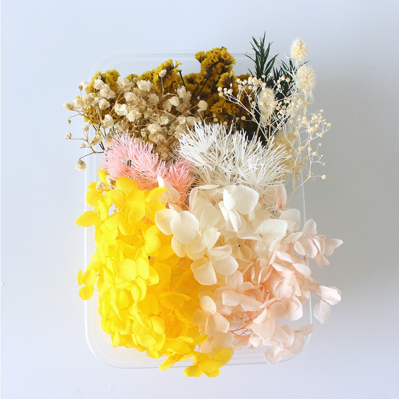 Preserved Flower DIY Kit Seaso - Flower Preservation Resin ulasan dan harga