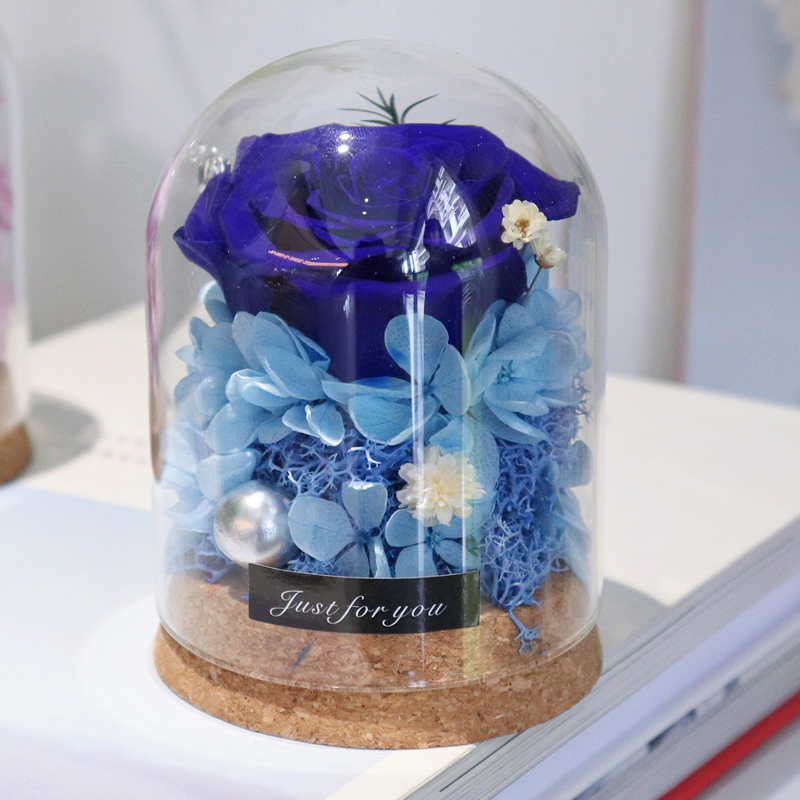 Gifts for Her Wishing Bottle E - Flower Preservation Resin ulasan dan harga
