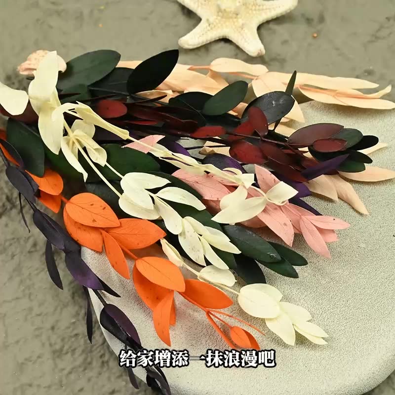 Dried  Flower Preserved Flower - Flower Preservation Resin ulasan dan harga