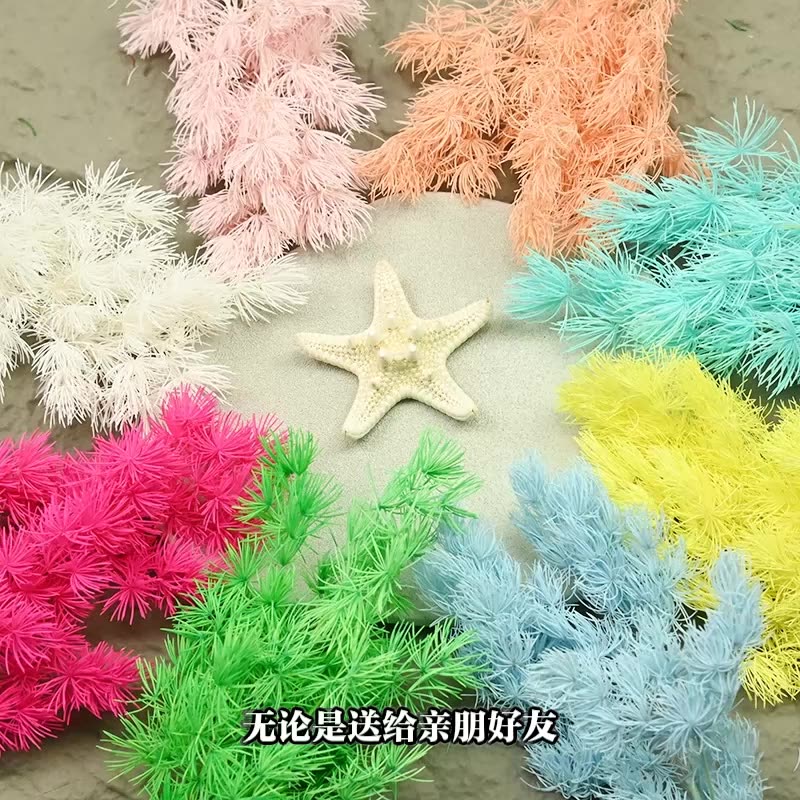 Dried  Flower Preserved Flower - Flower Preservation Resin ulasan dan harga