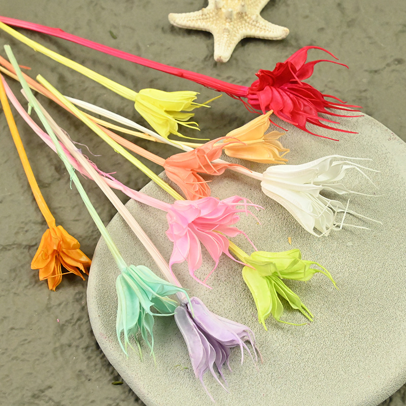 Dried  Flower Preserved Flower - Flower Preservation Resin ulasan dan harga